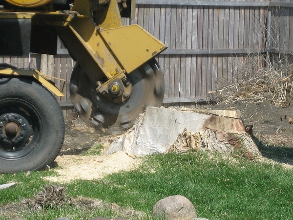 Medina Stump Grinding business image