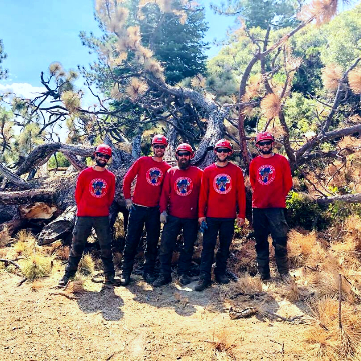 Jeremiah's Tree Service business image