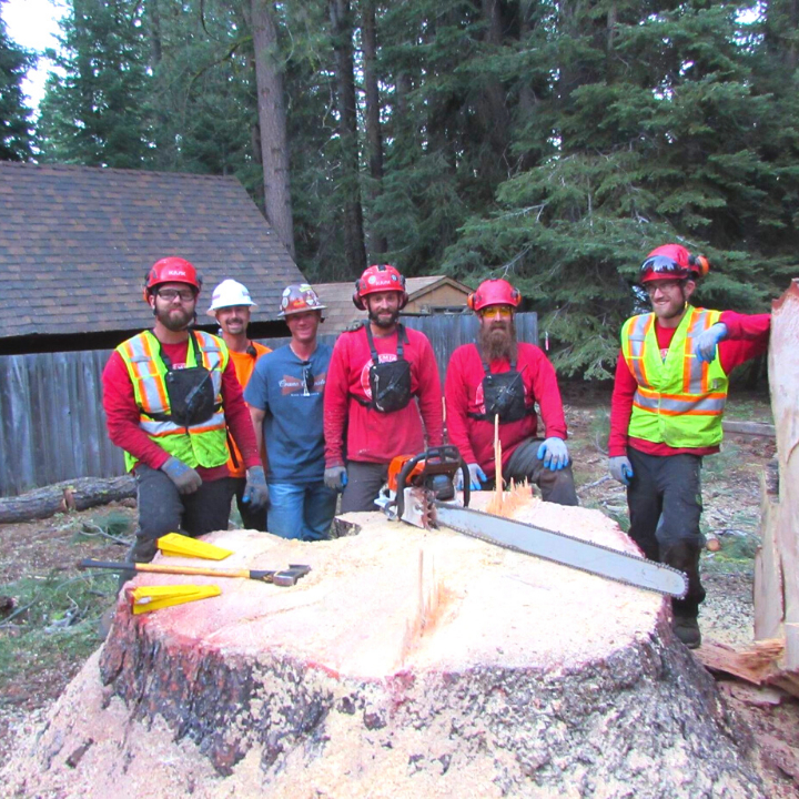 Jeremiah's Tree Service business image
