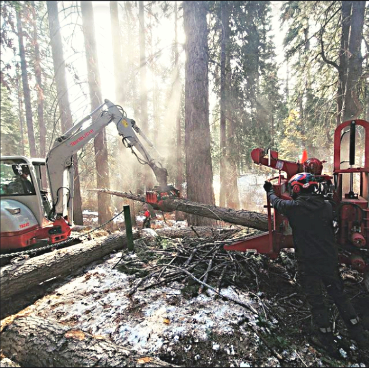 Jeremiah's Tree Service business image