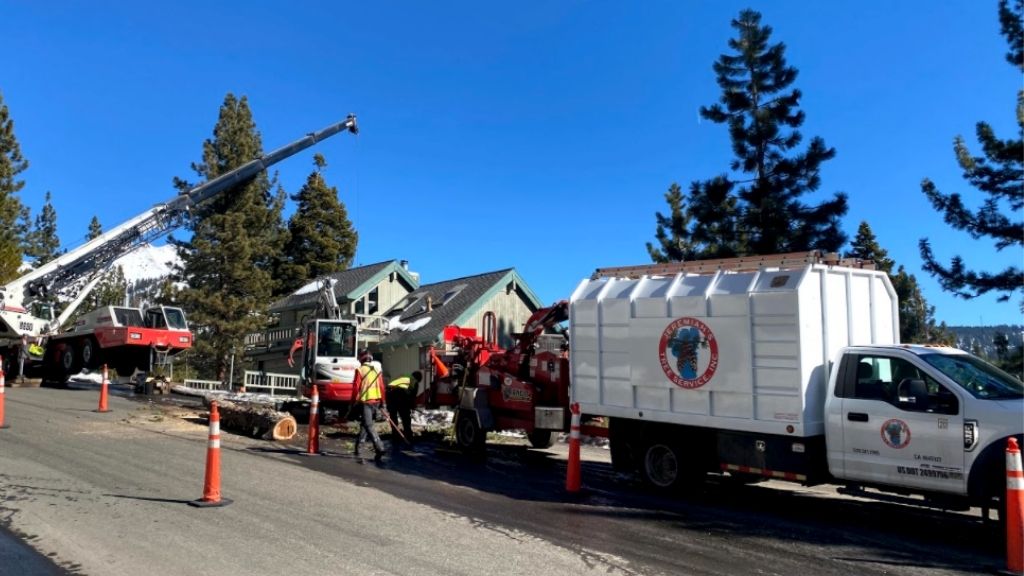 Jeremiah's Tree Service business image