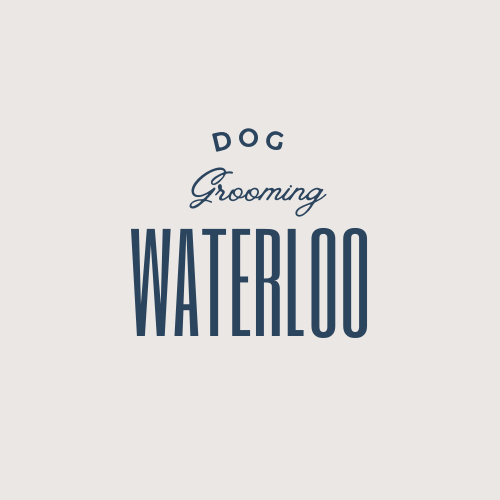 Waterloo Dog Grooming business image
