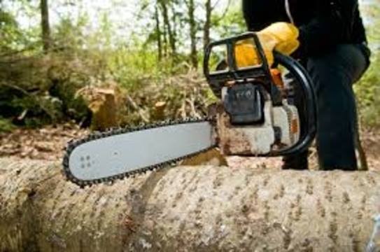 Detroit Tree Service business image