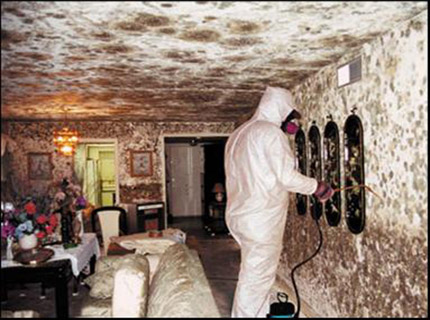 Eco Pro Restoration business image