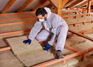 Norcross Insulation Service Pros business image