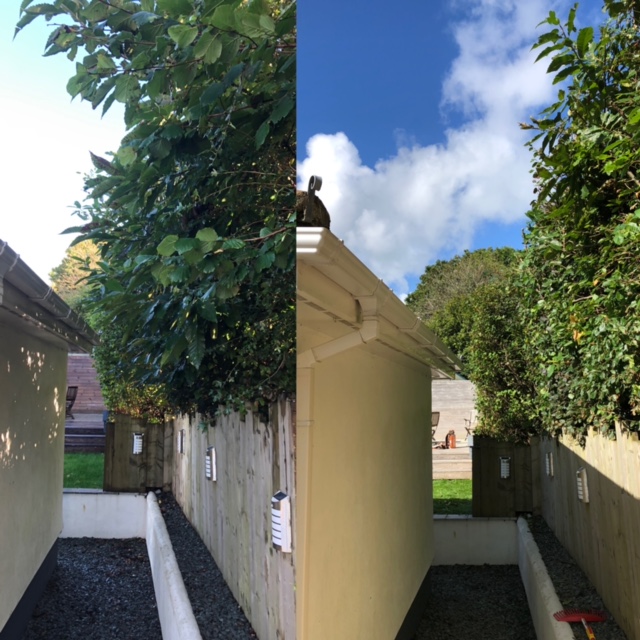 Cornish Trees & Gardens Ltd business image