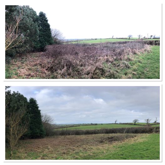Cornish Trees & Gardens Ltd business image