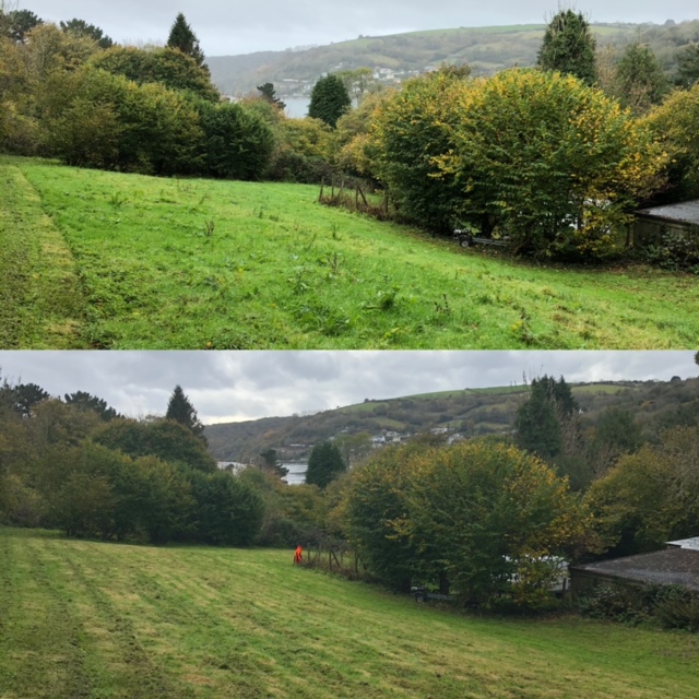 Cornish Trees & Gardens Ltd business image