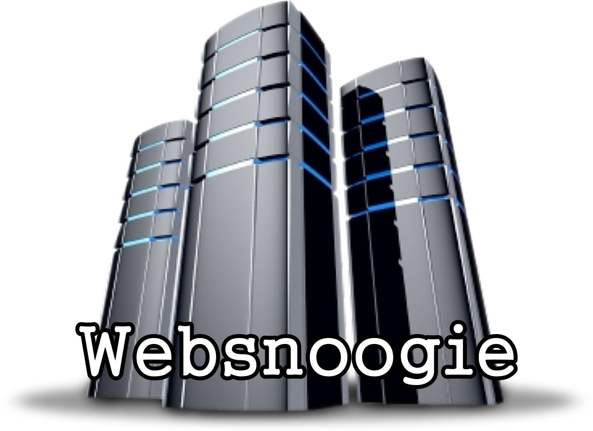 Websnoogie Web Hosting business image