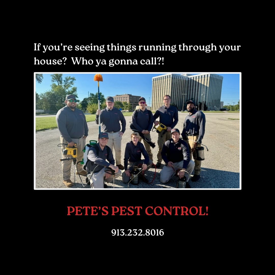Pete's Pest Control business image