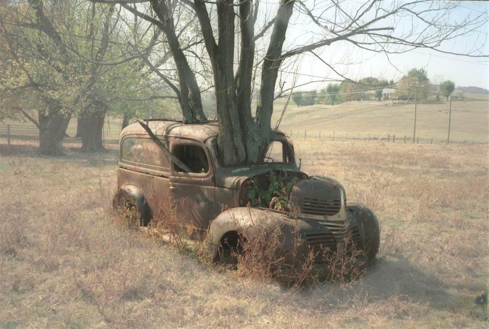 Palmdale Cash for Junk Cars business image