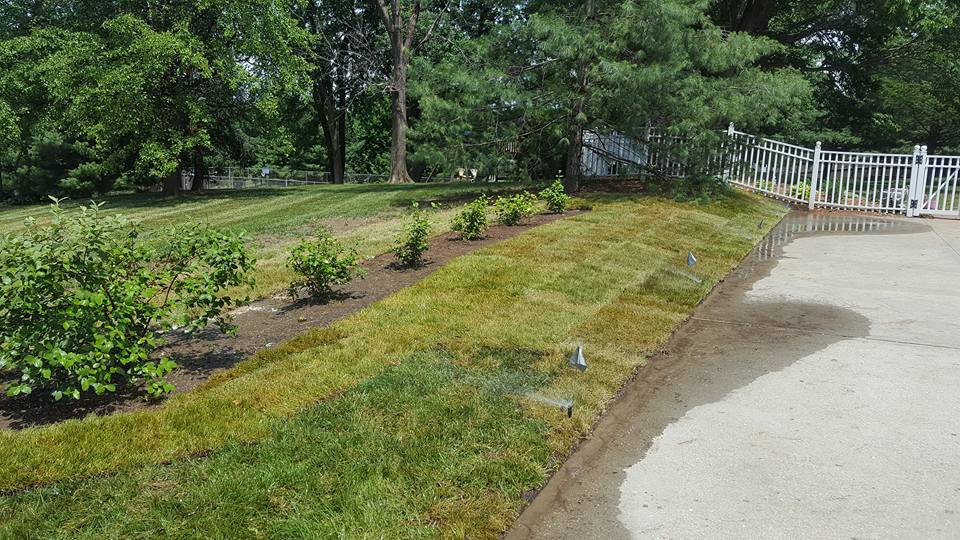 TK Lawn & Landscaping business image