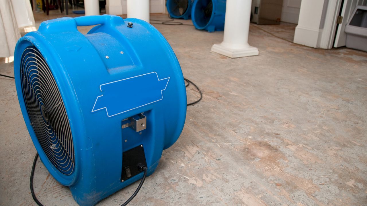 Meridian Damage Restoration business image