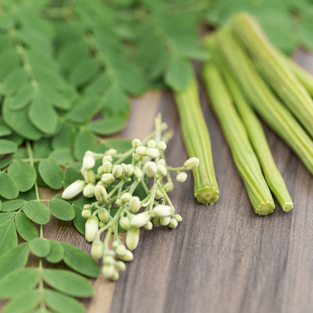 EzMoringa business image