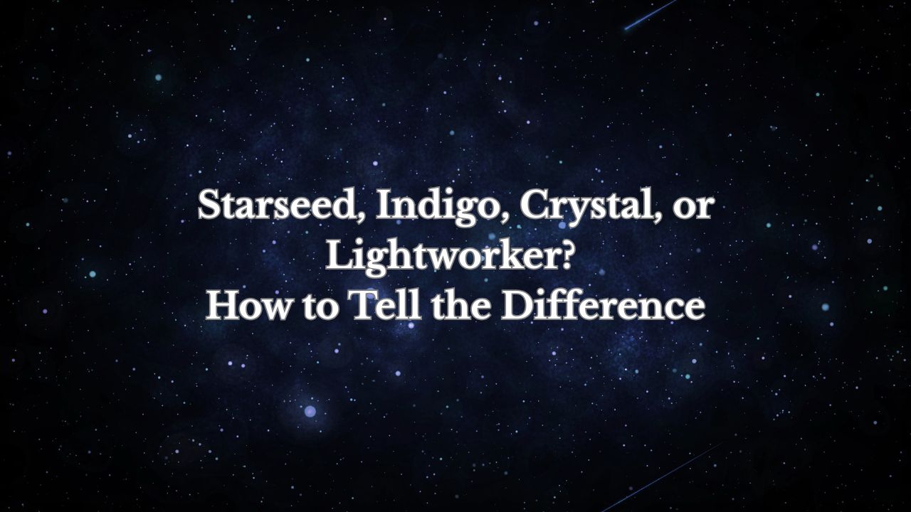 Starseed business image