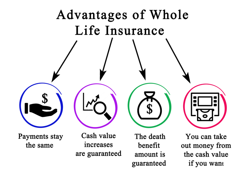 Douglasville Life Insurance Experts business image