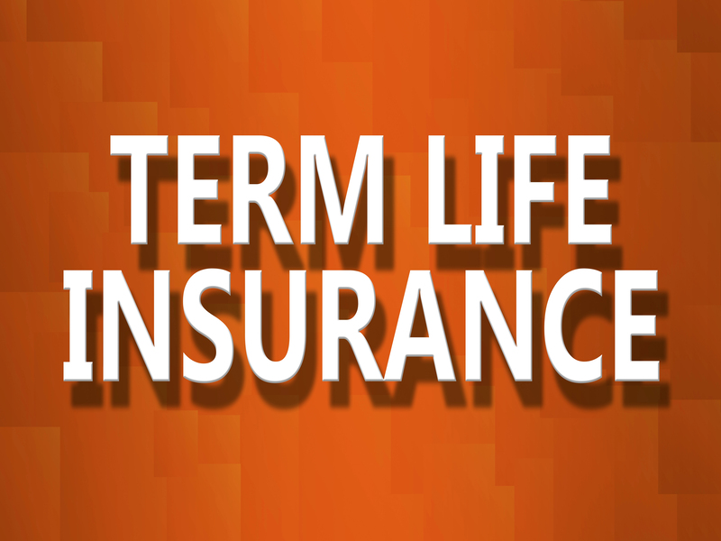 South Fulton Life Insurance Experts business image
